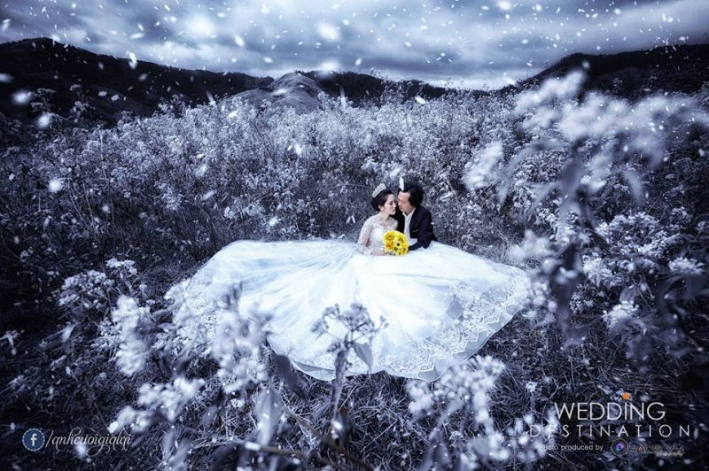 Ảnh cưới Gia Lai - Quang Vũ Photography