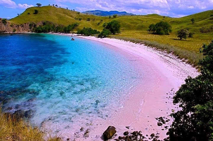 Bãi biển Pink Beach - Komodo, Indonesia