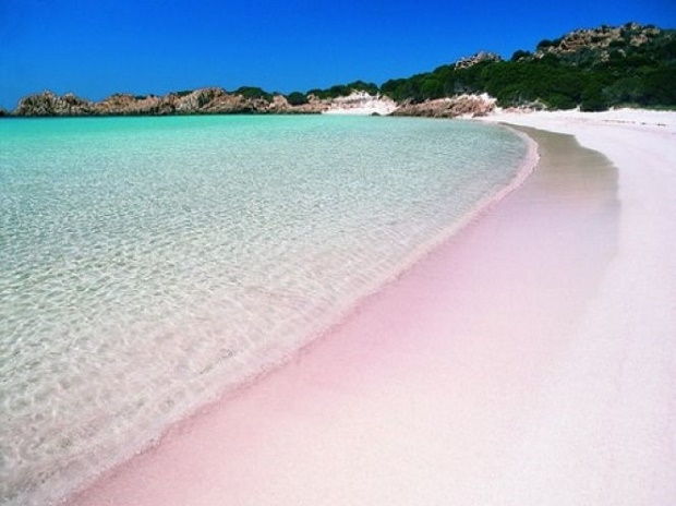 Bãi biển Spiaggia Rosa - Budelli, Sardinia, Italy