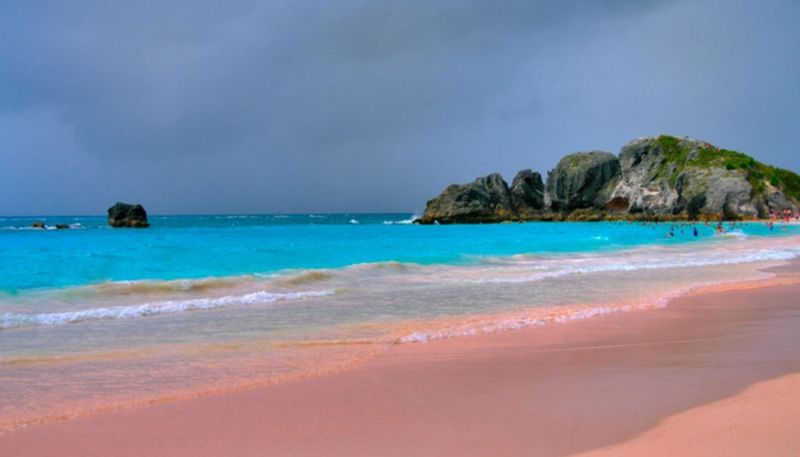 Bãi biển vịnh Horseshoe- Bermuda