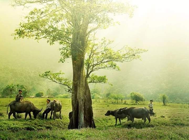 Bài thơ: Bến sông xưa - Trần Diệu Hương