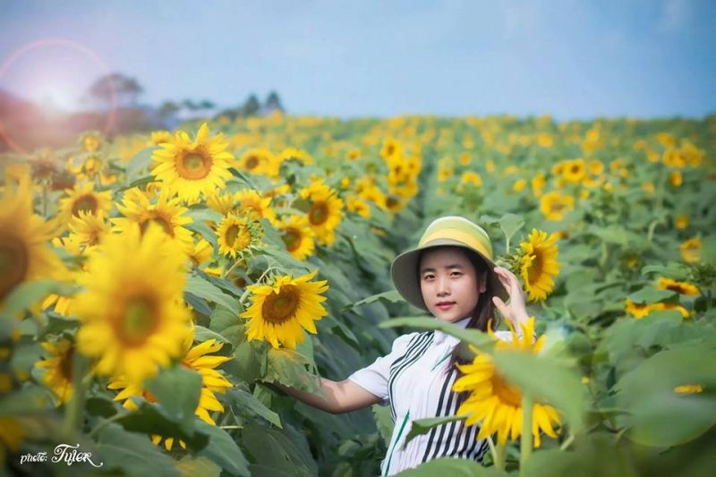 Bài thơ: BÀI THƠ VIẾT TRÊN ĐỒI LƯƠNG SƠN BẠC Bài thơ: BÀI THƠ VIẾT TRÊN ĐỒI LƯƠNG SƠN BẠC