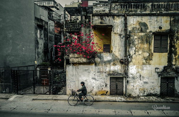 Bài thơ: ĐÔNG VỀ -  Phan Hoàng