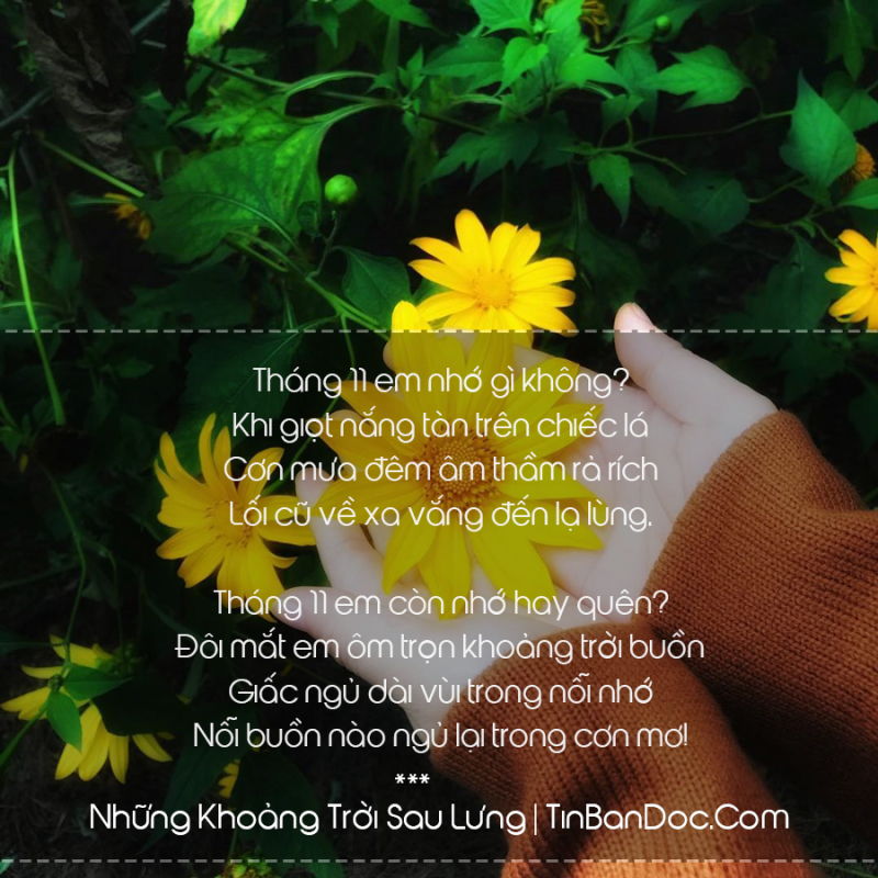 Bài thơ: HẸN THỀ THÁNG MƯỜI MỘT! -  Hoàng Minh Tuấn