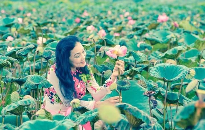 Bài thơ: Hoa sen - Doãn Kim Oanh