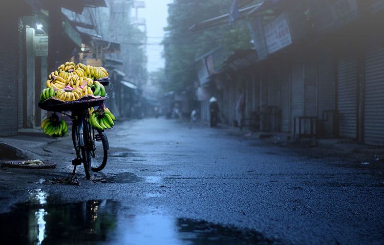 Bài thơ: MÙA ĐÔNG NHỚ NGƯỜI -  Ánh Tuyết