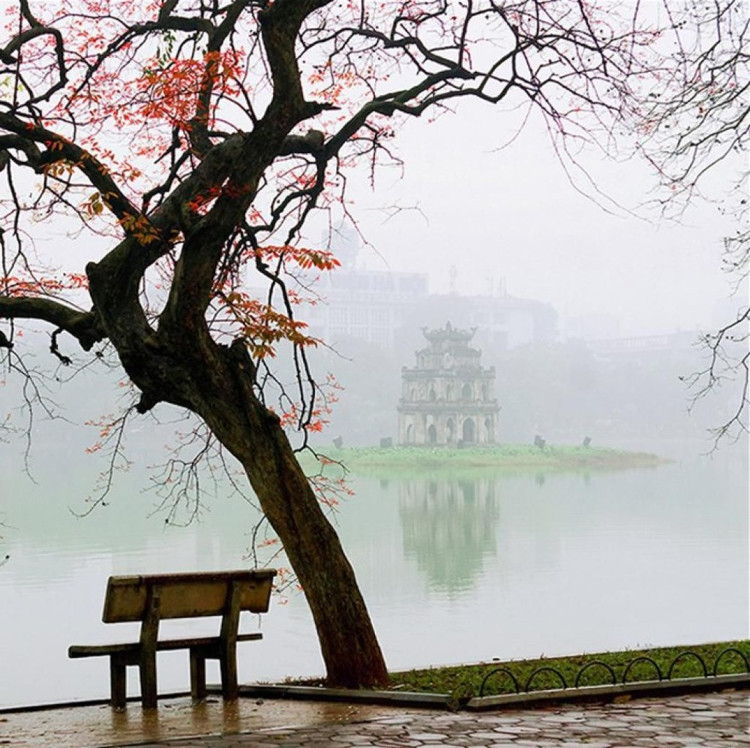 Bài thơ: TẢN MẠN BÊN HỒ GƯƠM CHỚM ĐÔNG - Phan Thu Hà