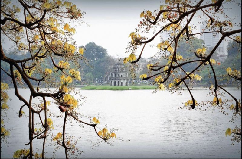 Bài thơ: TIẾNG MÙA XUÂN -  Phan Thu Hà