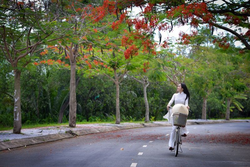 Bài thơ: YÊU EM RỒI