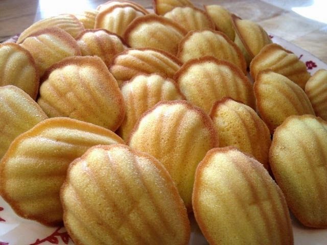 Bánh vỏ sò Maddalene