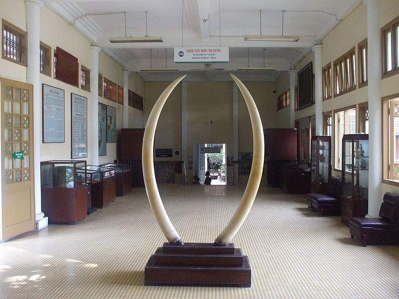 Bảo tàng Lịch sử Việt Nam