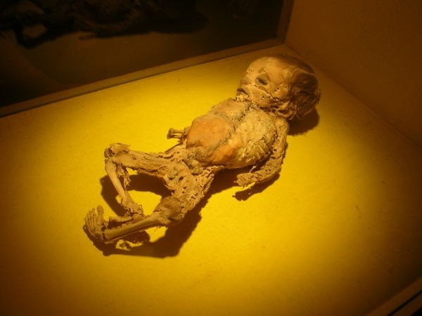 Bảo tàng xác ướp ở Mexico