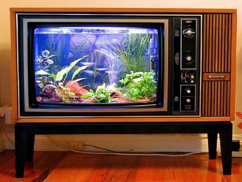 Bể cá từ chiếc tivi cũ