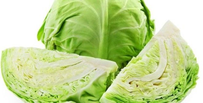 Bắp cải Bắp cải