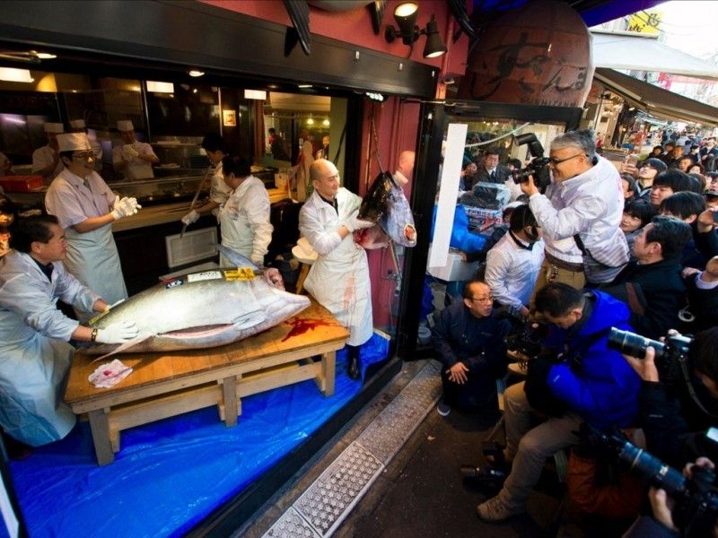 Cá tươi ở chợ Tsukiji
