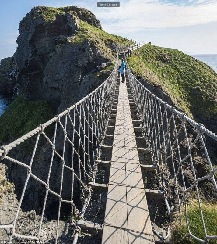 Cầu treo Carrick-a-Rede ở Bắc Ireland