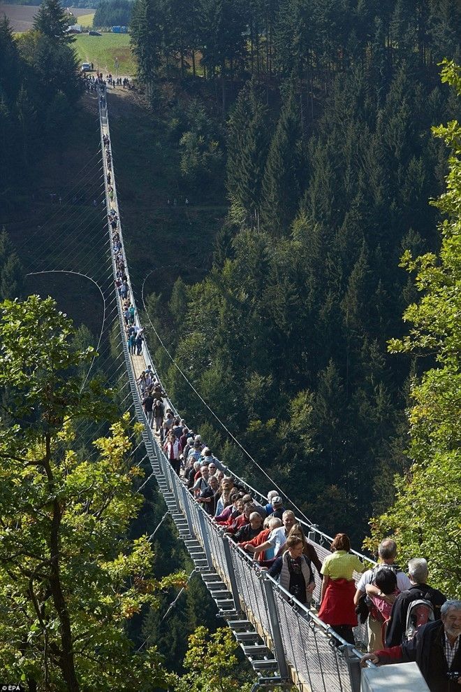 Cầu treo Geierley, Đức