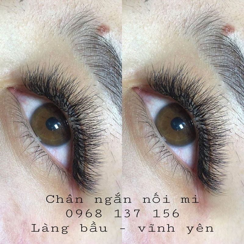 Chân Ngắn Nối Mi (Trịnh Thị Bình Minh)