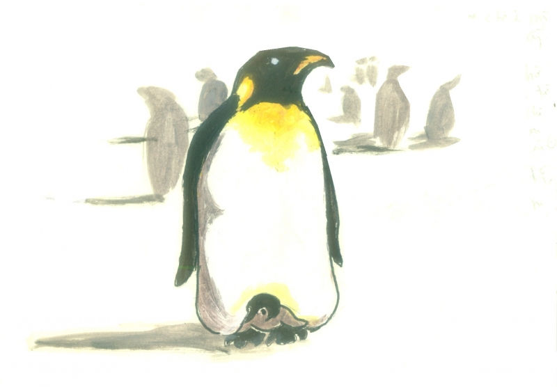 Chim cánh cụt Hoàng Đế