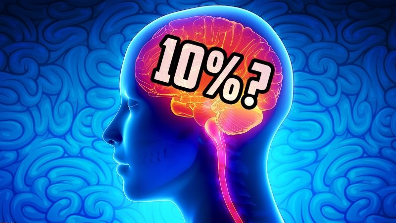 Chúng ta chỉ sử dụng 10% trí não Chúng ta chỉ sử dụng 10% trí não