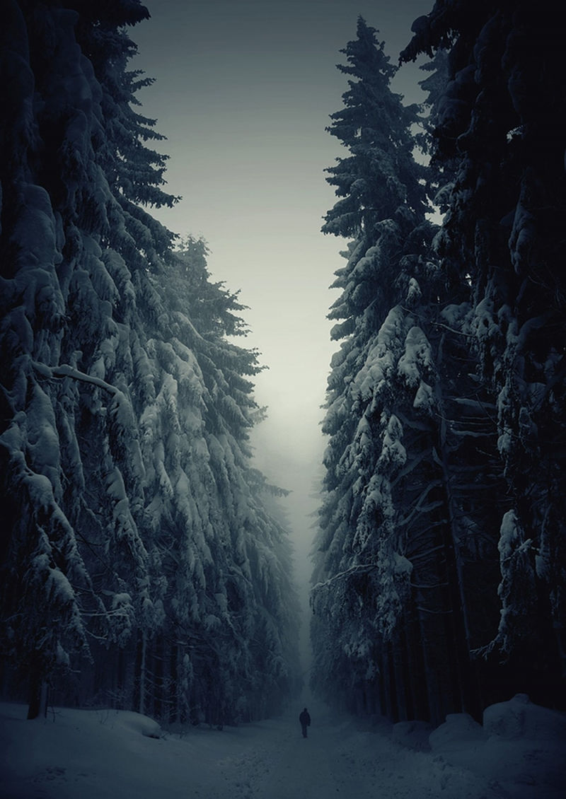 Con đường phủ đầy tuyết trắng vào mùa đông ở Cộng hòa Séc