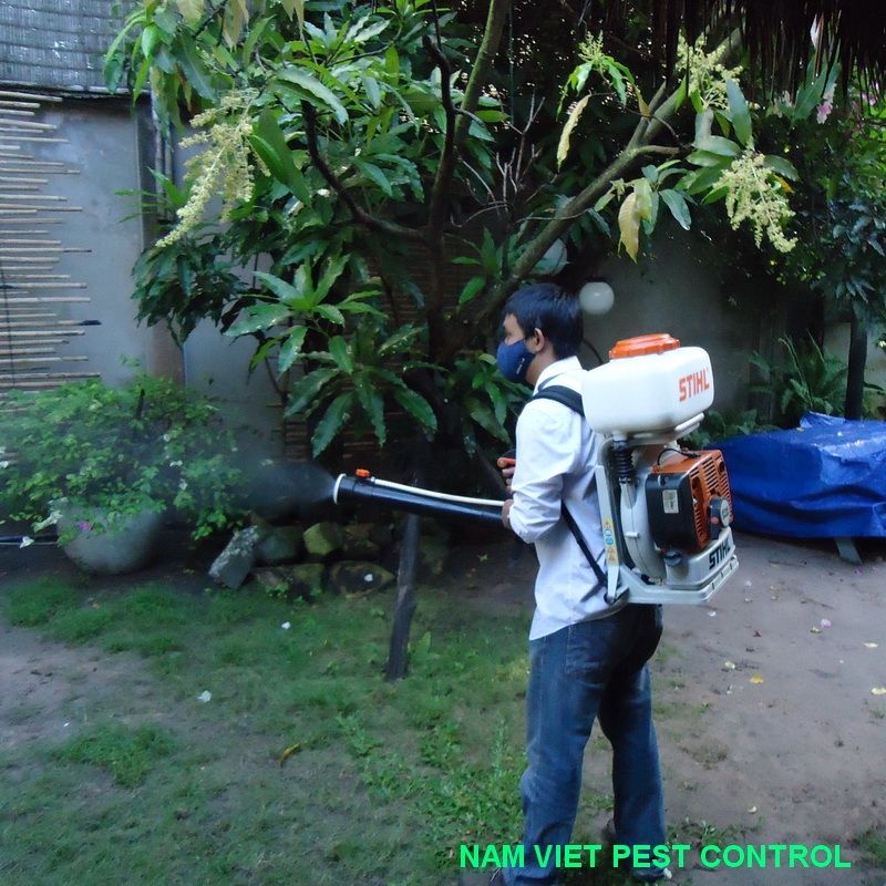 Công ty Đại Việt Pest Control