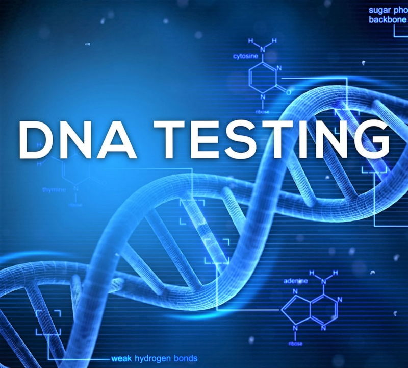 Công ty TNHH Một Thành Viên TM và DV ADN Testing
