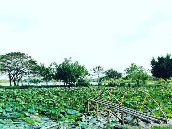 Công viên Suối Mơ Công viên Suối Mơ