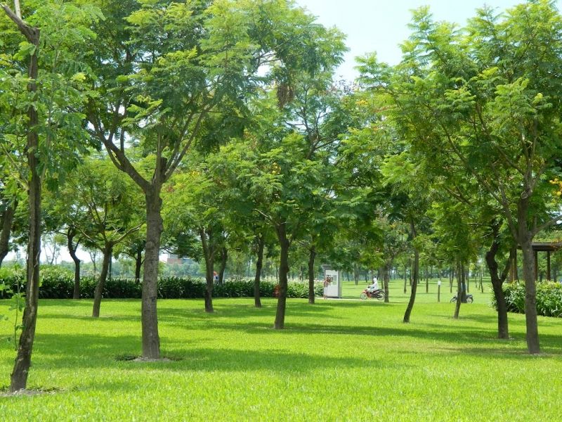 Công viên Yên Sở - Hoàng Mai