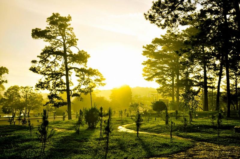 Cảnh vật Cảnh vật