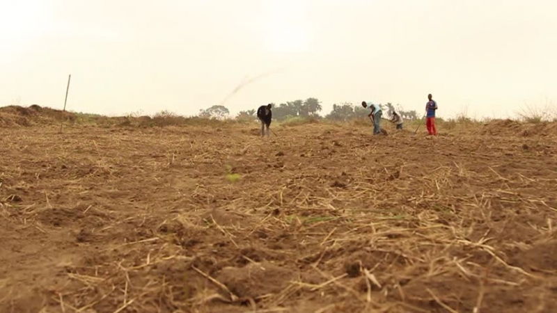 Cộng hòa Dân chủ Congo Cộng hòa Dân chủ Congo