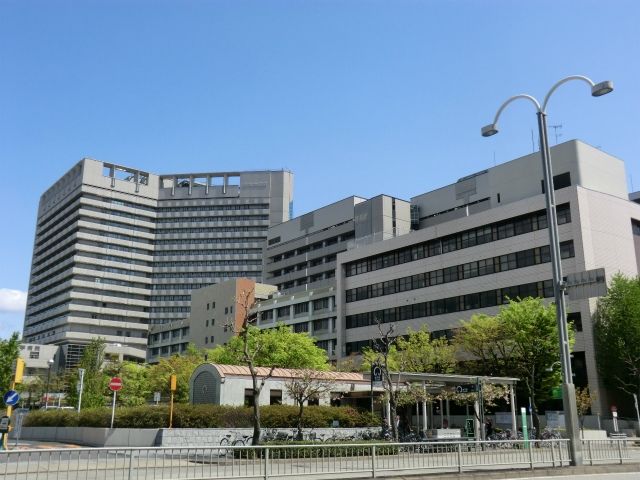 Đại học Nagoya (Meidai)