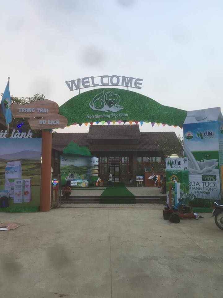 Dairy Farm Mộc Châu- Trang trại chuyến du lịch bò sữa