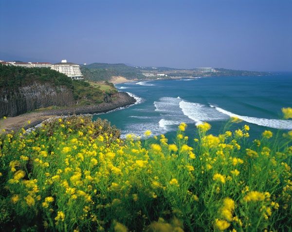 Đảo Jeju, Hàn Quốc