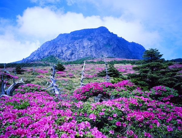 Đảo Jeju, Hàn Quốc