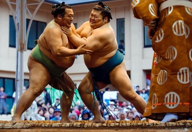 Đấu vật Sumo