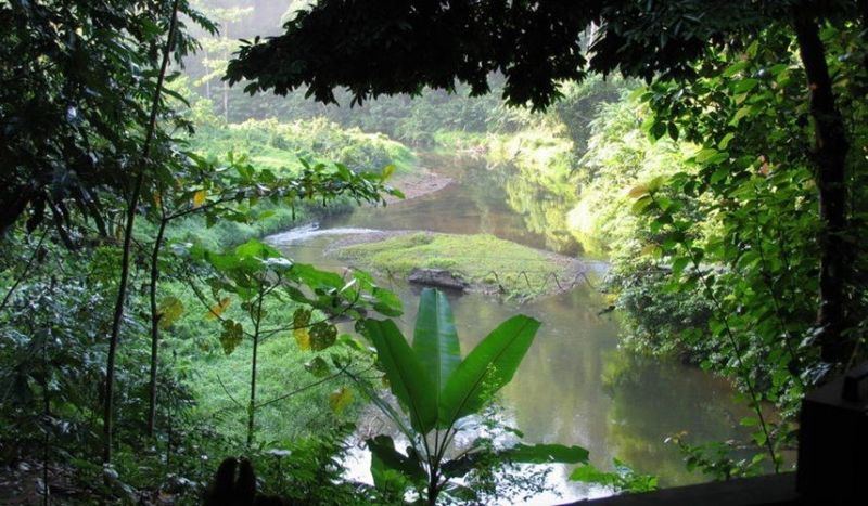 Di sản rừng mưa nhiệt đới đảo Sumatra (Indonesia)