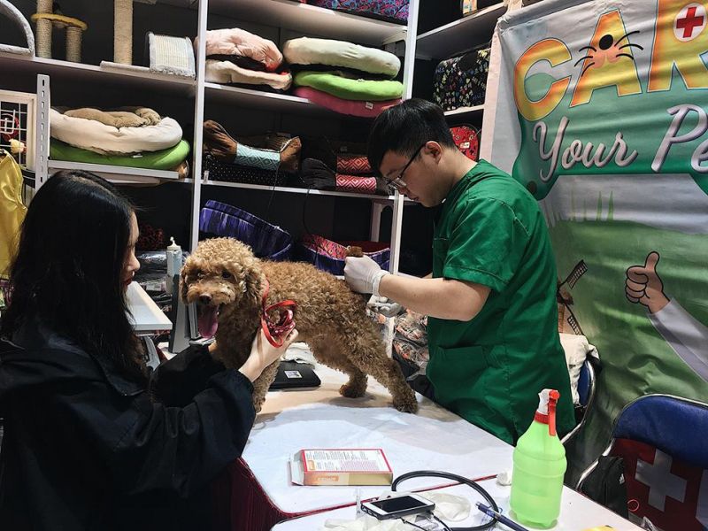 Dịch vụ Grooming & spa của PetCity