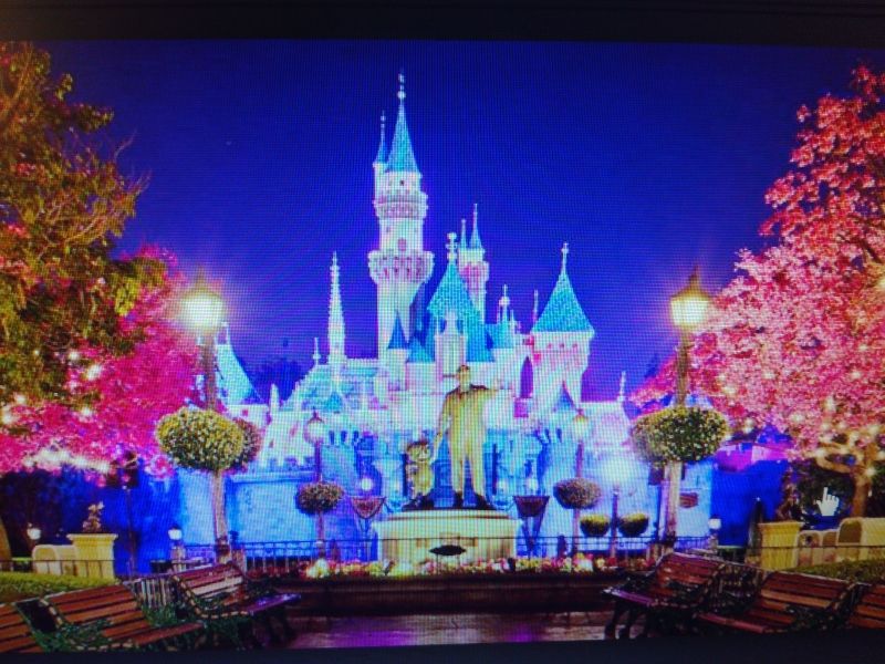 Disney’s Magic Kingdom (Mỹ)