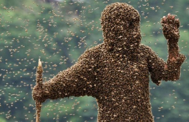 Dùng ong để tấn công