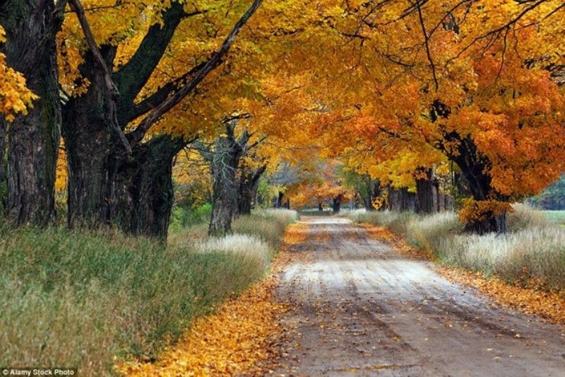 Đường Conrad ở Ludington, Michigan, Mỹ