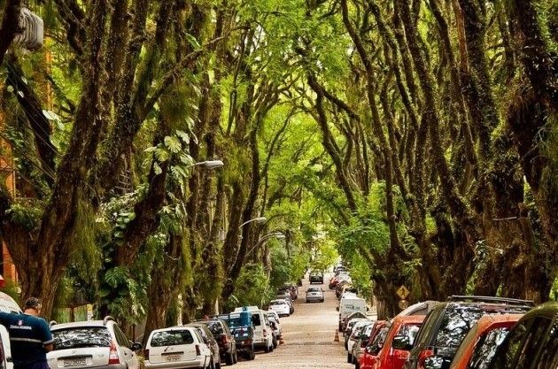 Đường Goncalo de Carvalho, Brazil