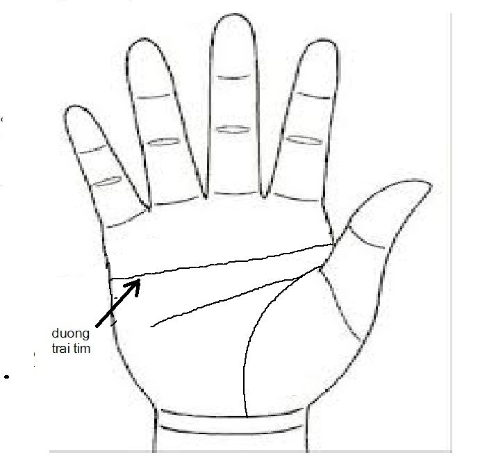 Đường trái tim cắt ngang cả bàn tay Đường trái tim cắt ngang cả bàn tay