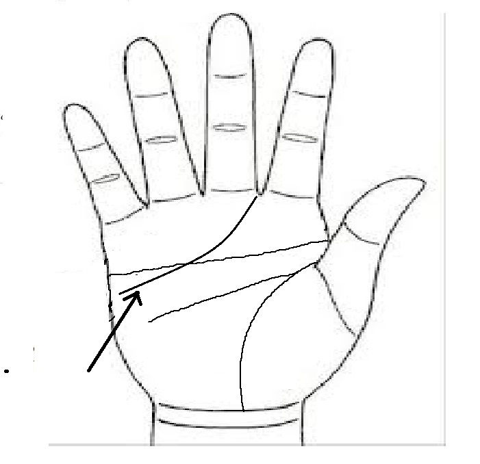 Đường từ gò hỏa tinh âm đi tới giữa ngón trỏ và ngón giữa Đường từ gò hỏa tinh âm đi tới giữa ngón trỏ và ngón giữa