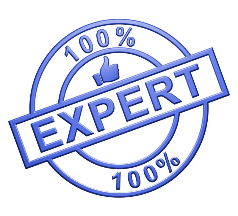 Expert  – Chuyên gia