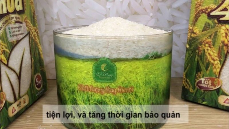 Giao gạo ngon – cung cấp gạo cỏ mây tại Tp HCM