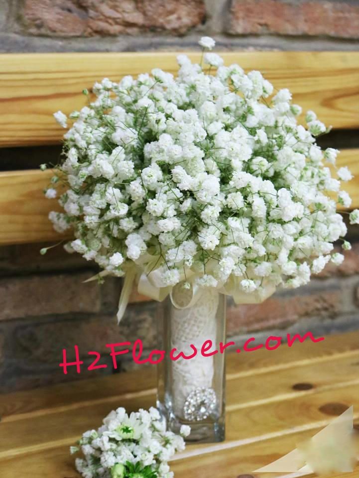 H2 Flower - Shop Hoa Tươi