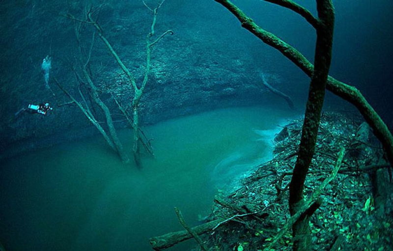 Hang động dưới nước Cenote Angelita