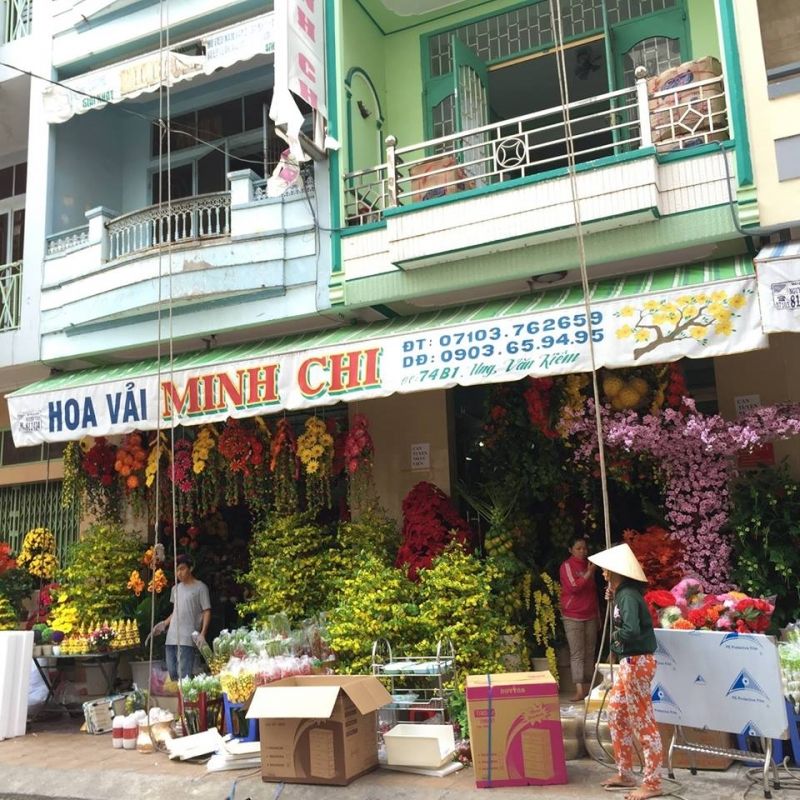 Hoa vải Minh Chi