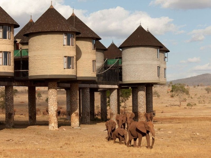 Khách sạn Sarova Saltlick Game Lodge - Kenya